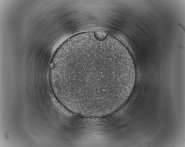 X0000102770952200809151036