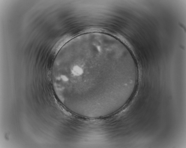 X0000102770953200809151036