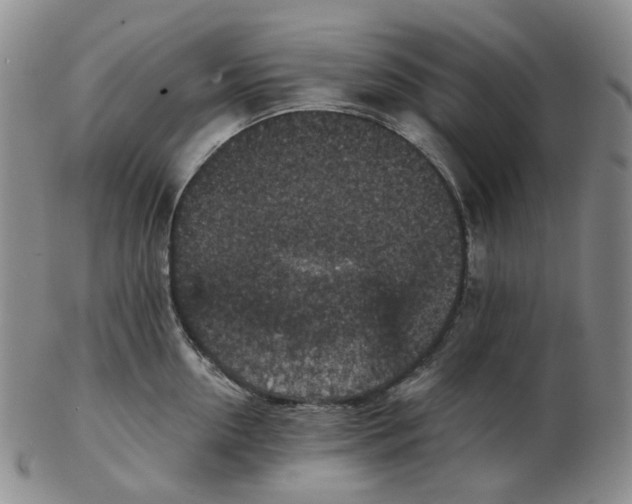 X0000102770954200809151036