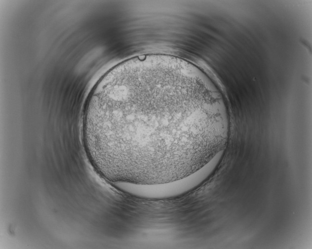 X0000102770955200809151036