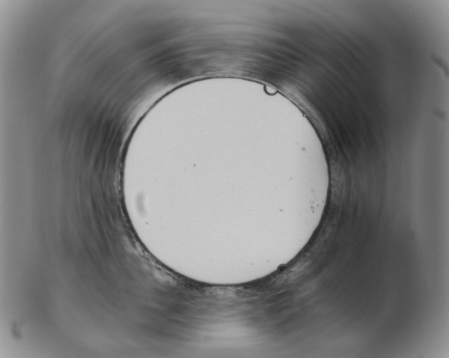 X0000102770956200809151036