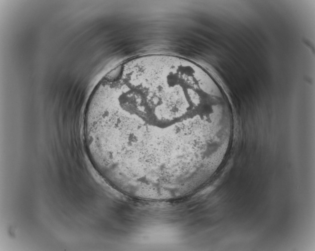 X0000102770957200809151036