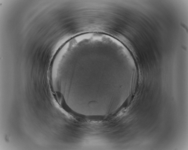 X0000102770958200809151036