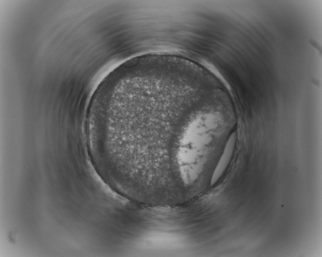 X0000102770959200809151036