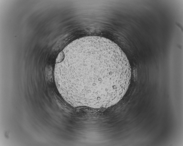 X0000102770963200809151035