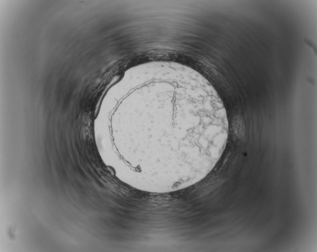 X0000102770964200809151035