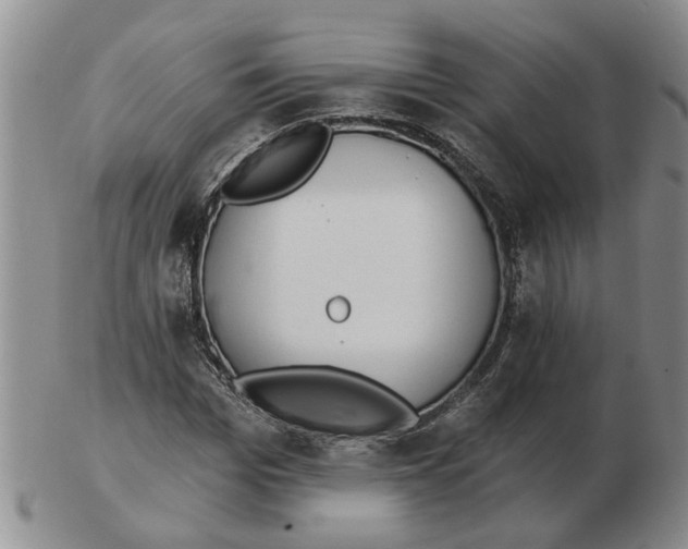 X0000102770969200809151035