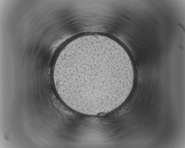 X0000102770971200809151035