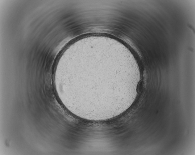 X0000102770972200809151035