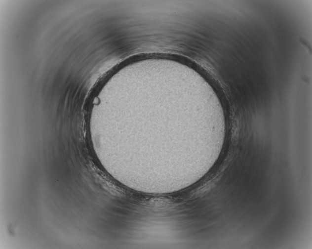 X0000102770974200809151035