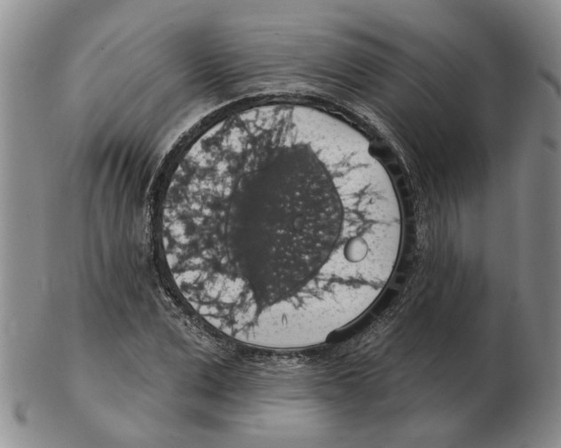 X0000102770975200809151035