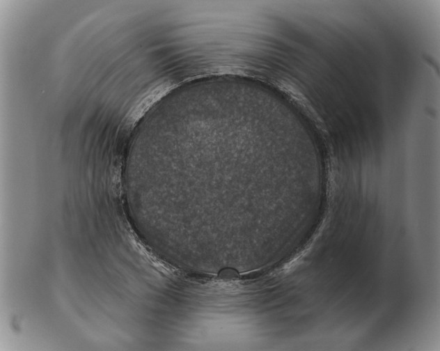 X0000102770977200809151035