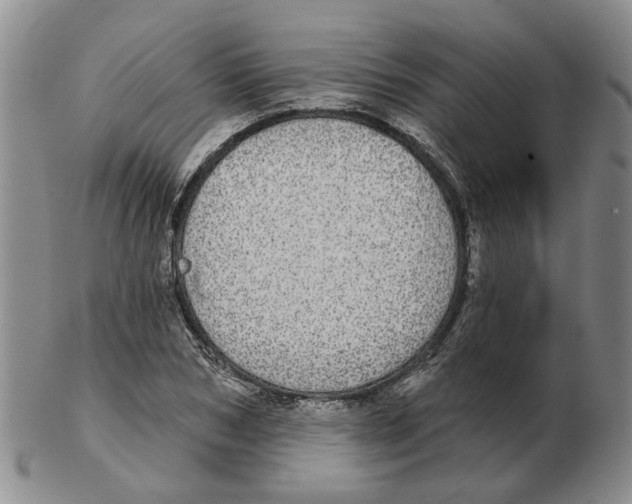 X0000102770978200809151035