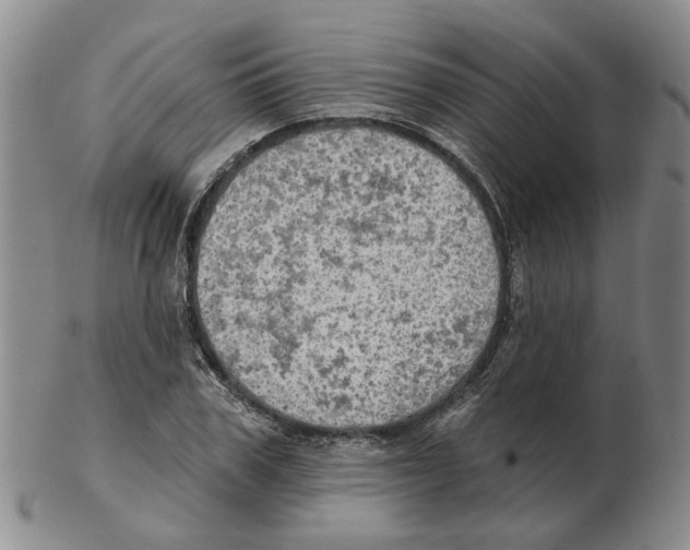 X0000102770979200809151035