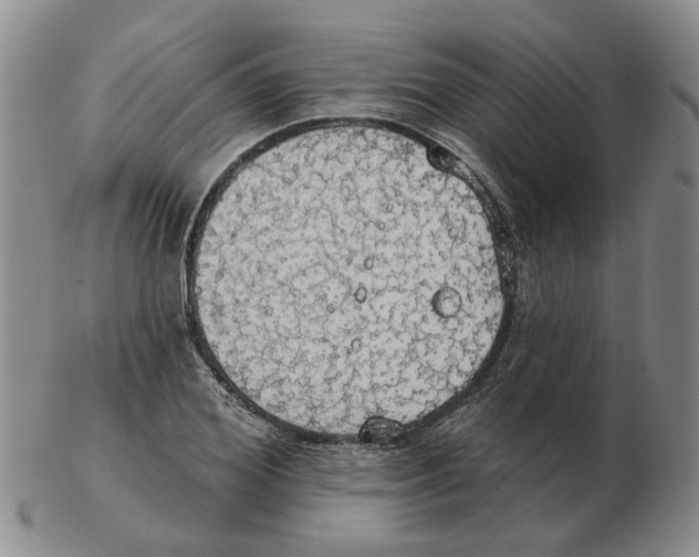 X0000102770980200809151035