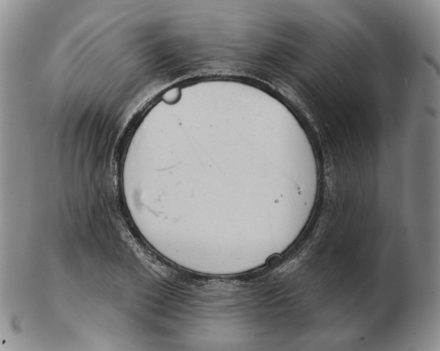 X0000102770981200809151035