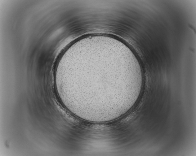 X0000102770982200809151035