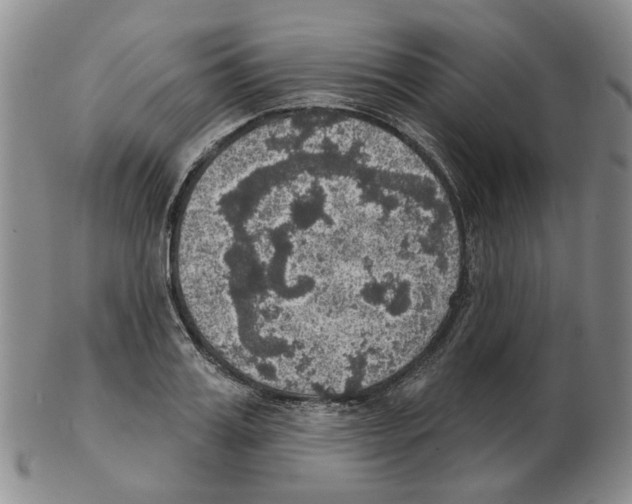 X0000102770987200809151035