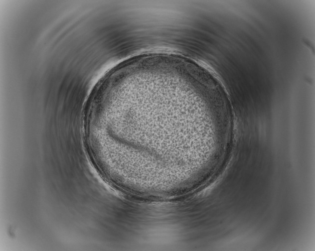 X0000102770989200809151035