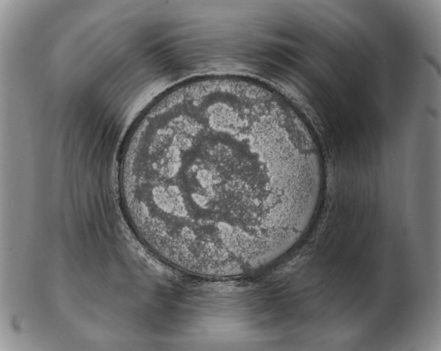 X0000102770990200809151035