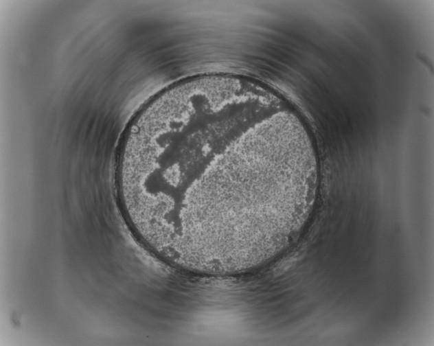 X0000102770991200809151035