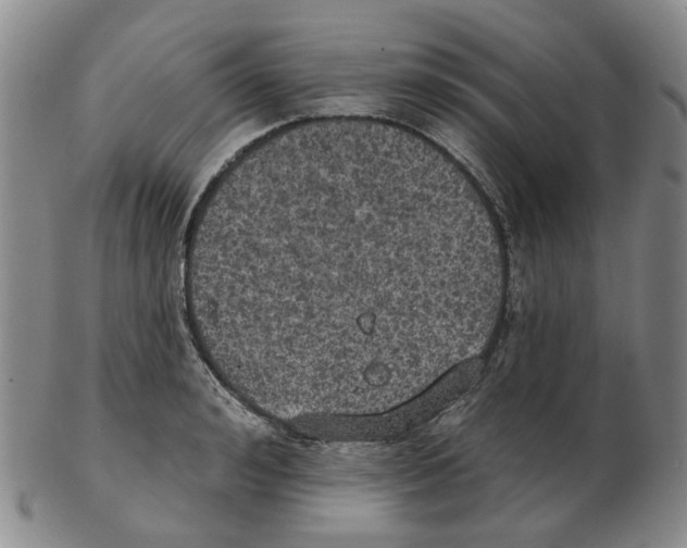 X0000102770992200809151035