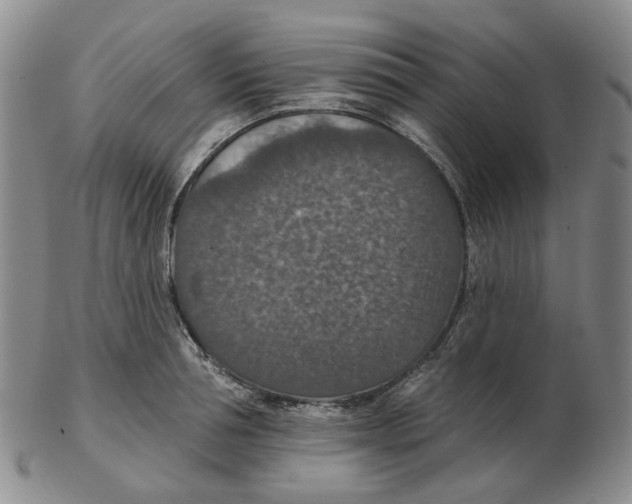 X0000102770994200809151035