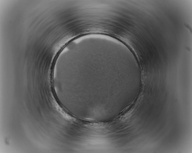 X0000102770995200809151035