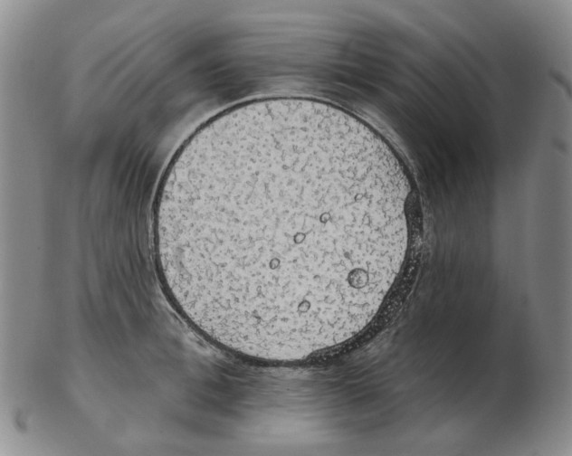 X0000102770996200809151035