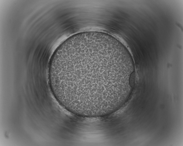 X0000102770997200809151035