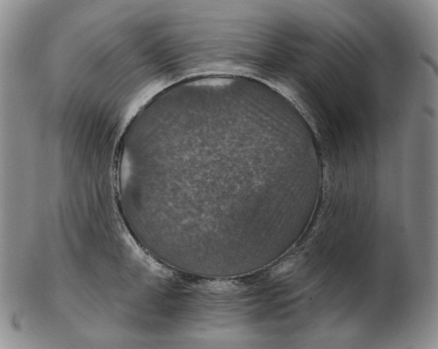 X0000102770998200809151035