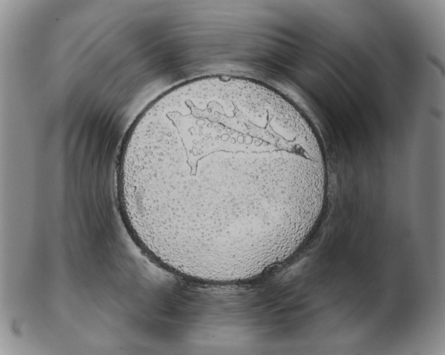 X0000102770999200809151035