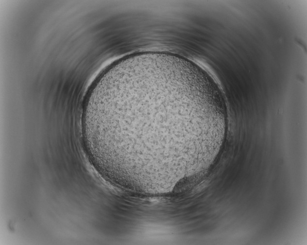 X0000102771000200809151035