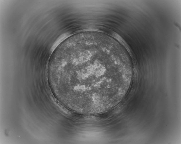 X0000102771002200809151035