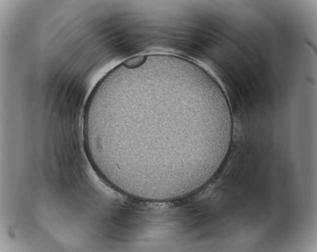 X0000102771003200809151035