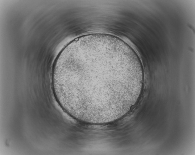 X0000102771005200809151035