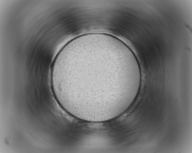 X0000102771006200809151035