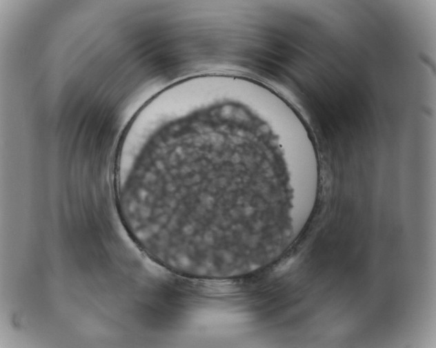 X0000102771007200809151035