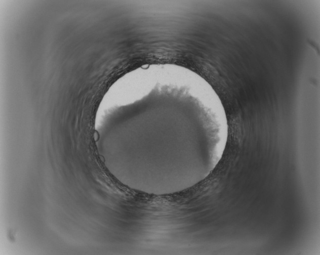 X0000102771009200809151034