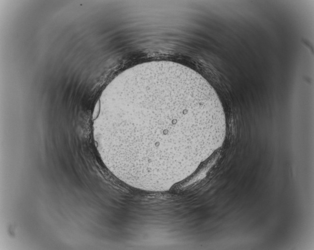 X0000102771012200809151034