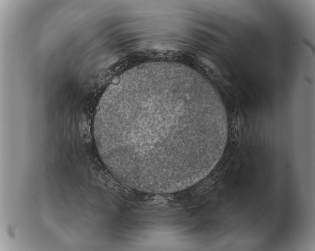 X0000102771013200809151034