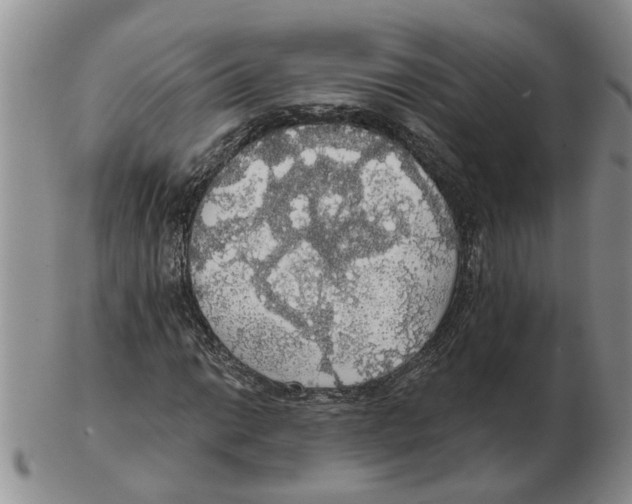 X0000102771014200809151034