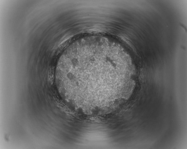 X0000102771015200809151034