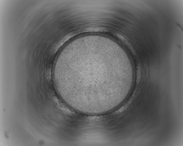 X0000102771017200809151034