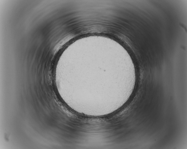 X0000102771018200809151034