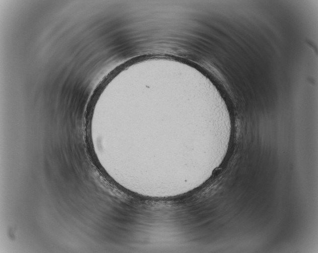 X0000102771020200809151034