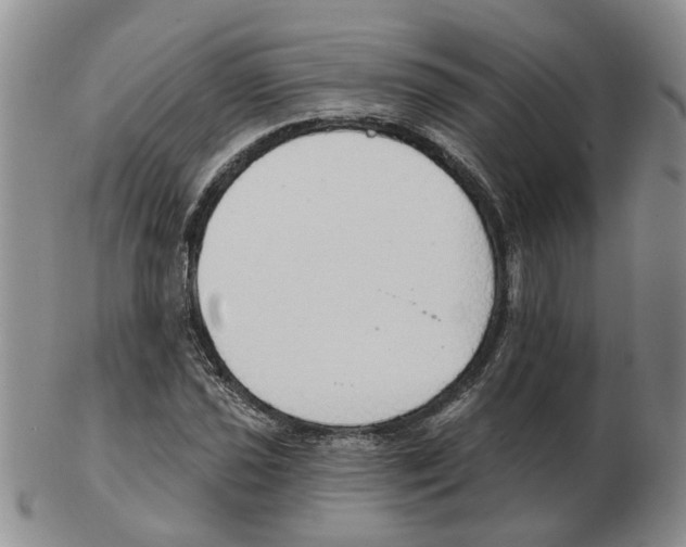 X0000102771021200809151034