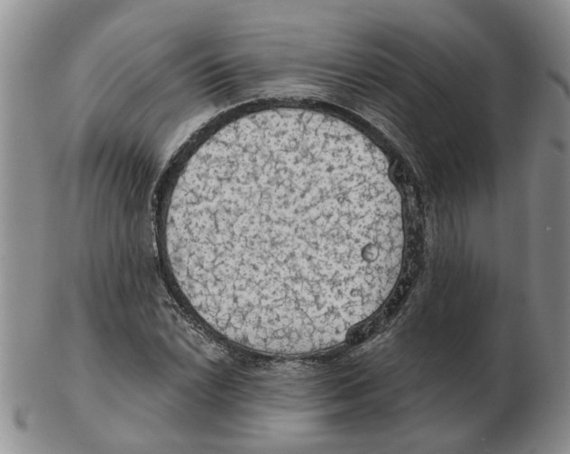 X0000102771022200809151034