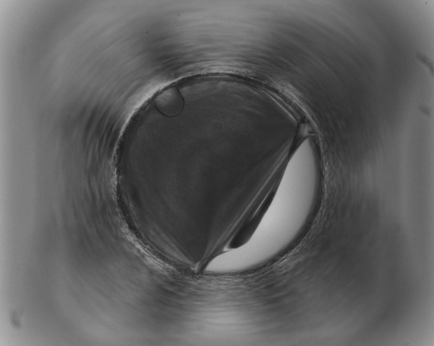 X0000102771024200809151034