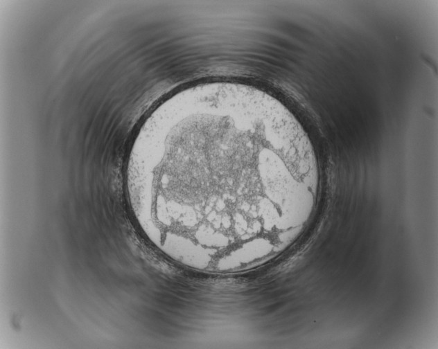 X0000102771025200809151034